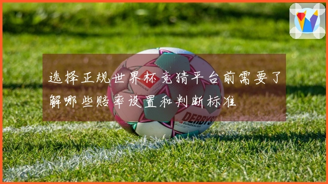 选择正规世界杯竞猜平台前需要了解哪些赔率设置和判断标准