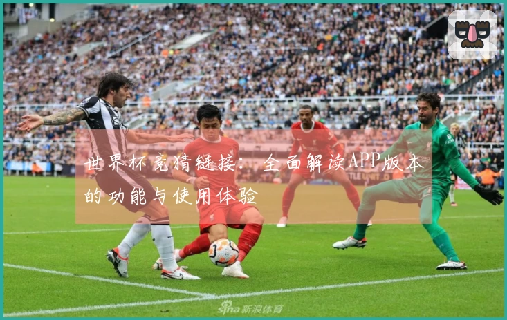 世界杯竞猜链接：全面解读APP版本的功能与使用体验