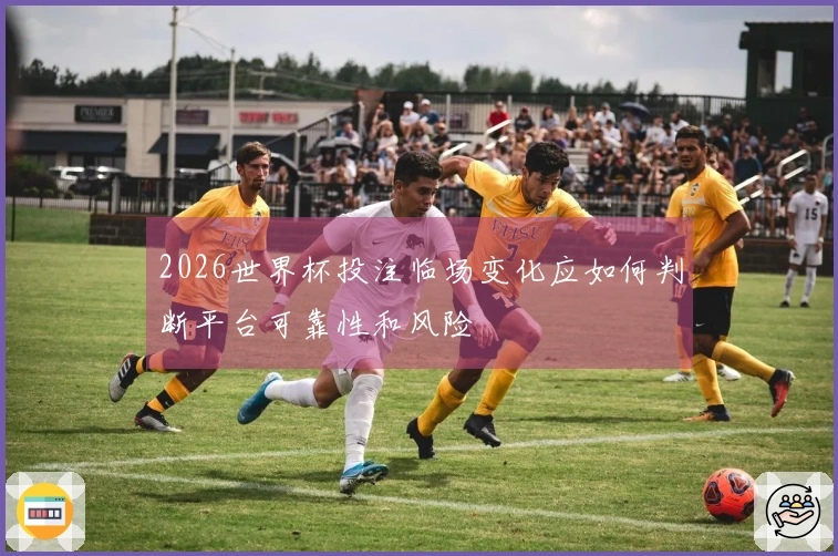 2026世界杯投注临场变化应如何判断平台可靠性和风险