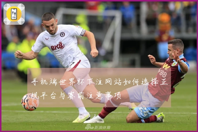 手机端世界杯下注网站如何选择正规平台与赛前注意事项