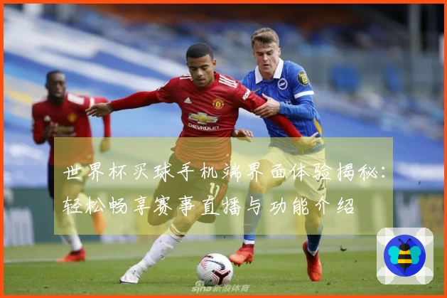 世界杯买球手机端界面体验揭秘：轻松畅享赛事直播与功能介绍