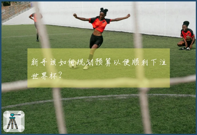新手该如何规划预算以便顺利下注世界杯？