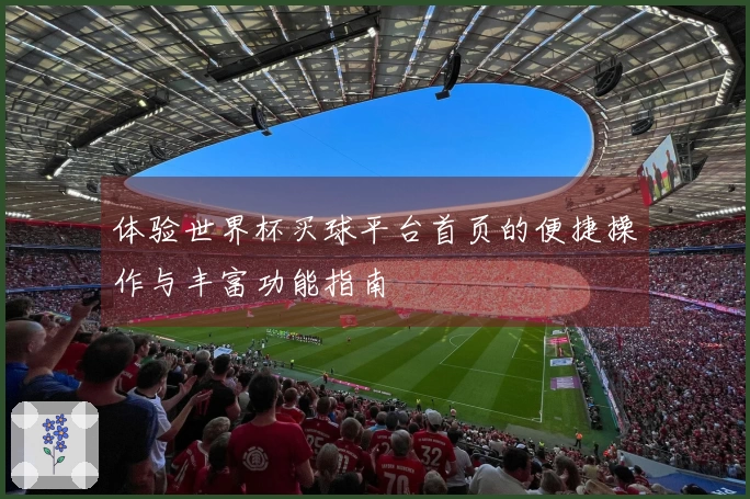 体验世界杯买球平台首页的便捷操作与丰富功能指南