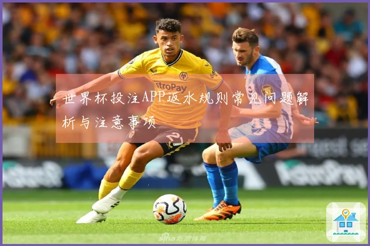 世界杯投注APP返水规则常见问题解析与注意事项
