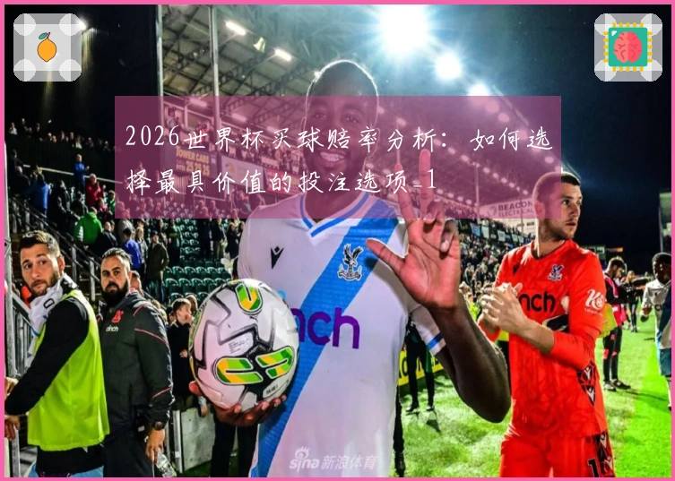 2026世界杯买球赔率分析：如何选择最具价值的投注选项_1
