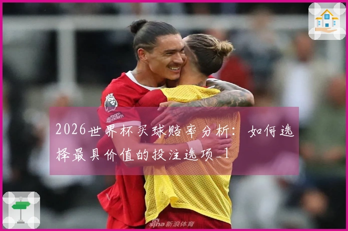 2026世界杯买球赔率分析：如何选择最具价值的投注选项_1