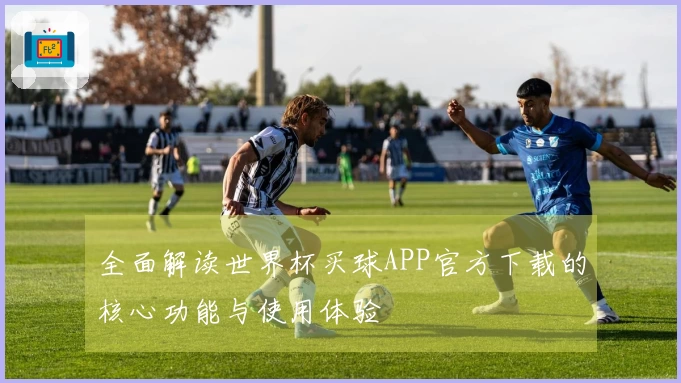 全面解读世界杯买球APP官方下载的核心功能与使用体验