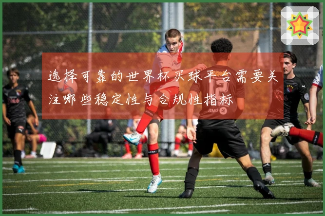 选择可靠的世界杯买球平台需要关注哪些稳定性与合规性指标