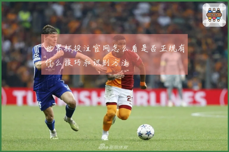 世界杯投注官网怎么看是否正规有什么技巧和识别方法