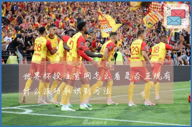 世界杯投注官网怎么看是否正规有什么技巧和识别方法