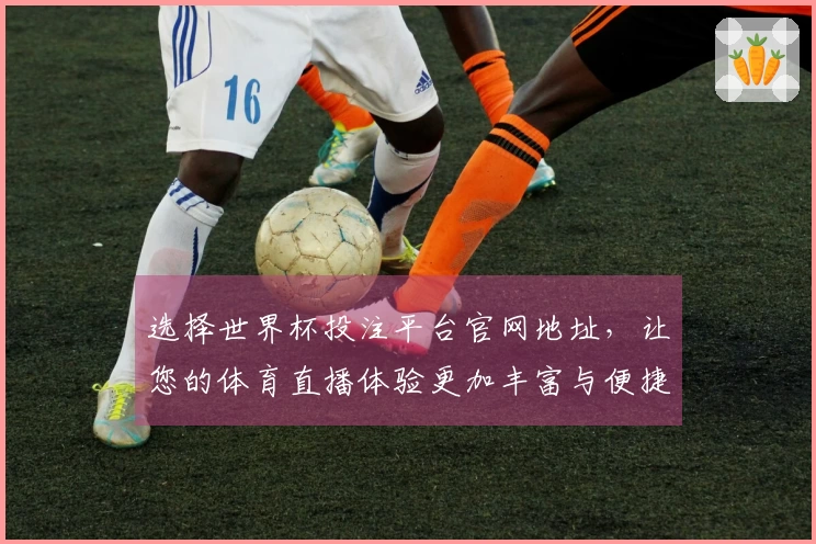 选择世界杯投注平台官网地址，让您的体育直播体验更加丰富与便捷