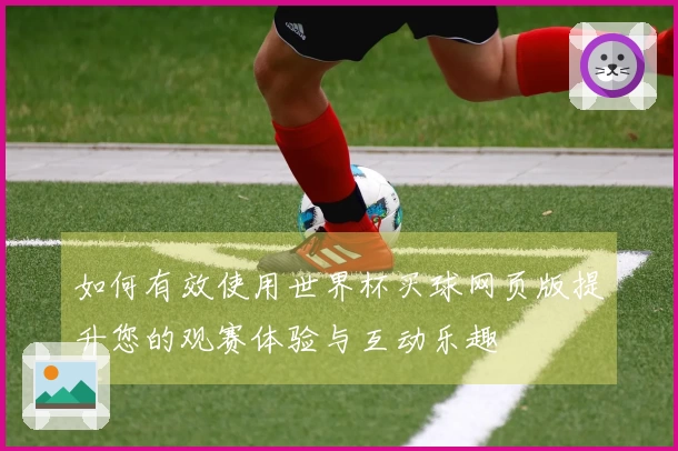如何有效使用世界杯买球网页版提升您的观赛体验与互动乐趣
