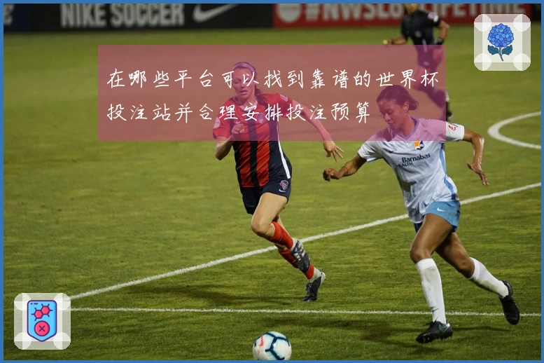 在哪些平台可以找到靠谱的世界杯投注站并合理安排投注预算