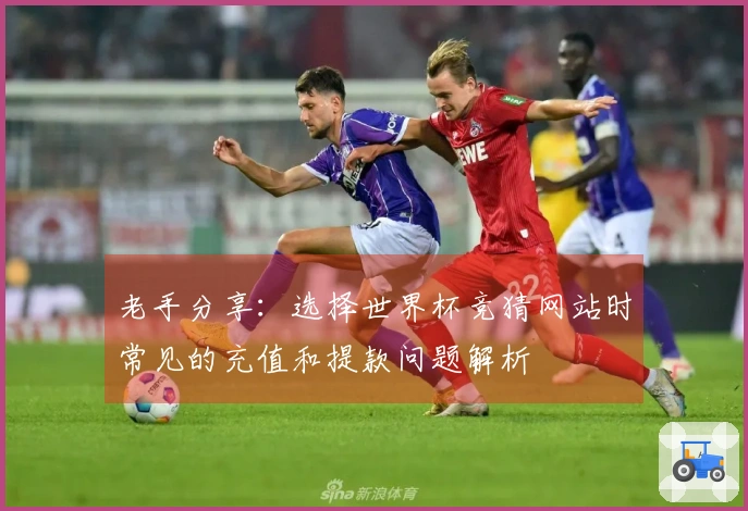 老手分享：选择世界杯竞猜网站时常见的充值和提款问题解析