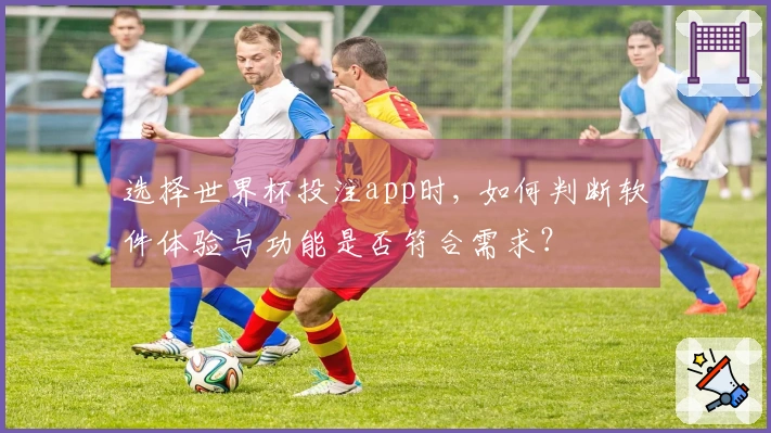 选择世界杯投注app时, 如何判断软件体验与功能是否符合需求？