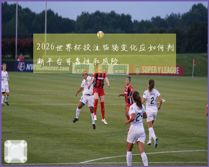 2026世界杯投注临场变化应如何判断平台可靠性和风险