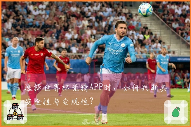 选择世界杯竞猜APP时，如何判断其安全性与合规性？