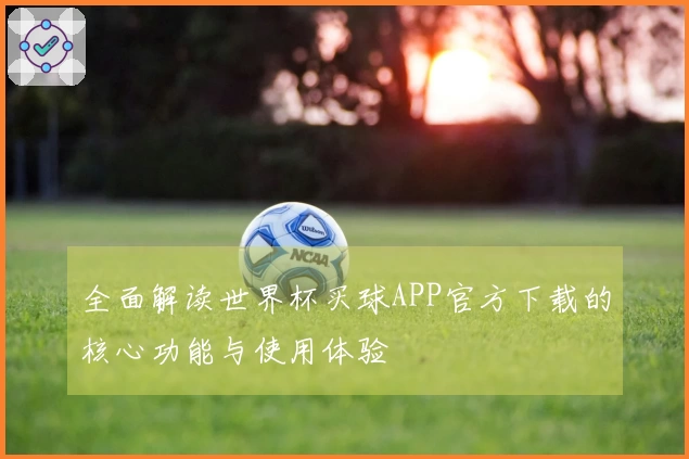全面解读世界杯买球APP官方下载的核心功能与使用体验