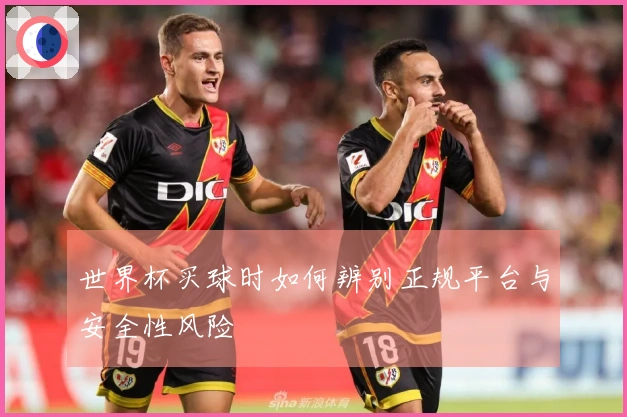 世界杯买球时如何辨别正规平台与安全性风险