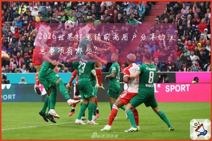 2026世界杯竞猜前老用户分享的注意事项有哪些？